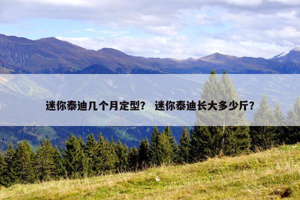 迷你泰迪几个月定型？ 迷你泰迪长大多少斤？
