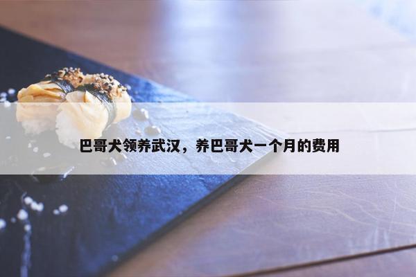 巴哥犬领养武汉，养巴哥犬一个月的费用