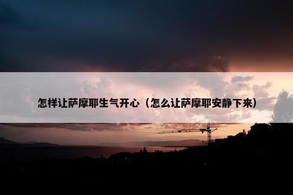 怎样让萨摩耶生气开心（怎么让萨摩耶安静下来）