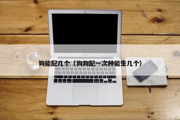 狗能配几个（狗狗配一次种能生几个）