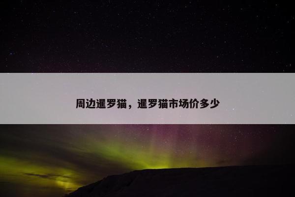 周边暹罗猫，暹罗猫市场价多少