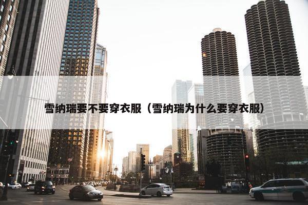 雪纳瑞要不要穿衣服（雪纳瑞为什么要穿衣服）