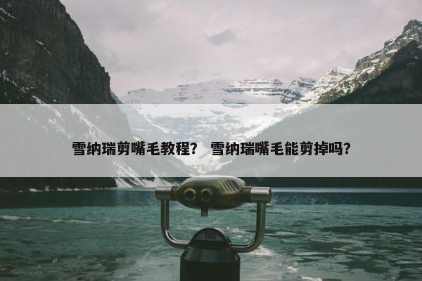 雪纳瑞剪嘴毛教程？ 雪纳瑞嘴毛能剪掉吗？