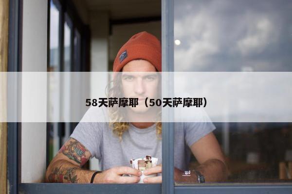58天萨摩耶（50天萨摩耶）