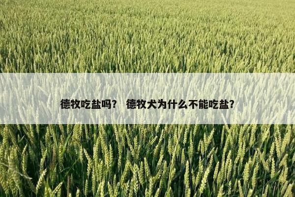 德牧吃盐吗？ 德牧犬为什么不能吃盐？