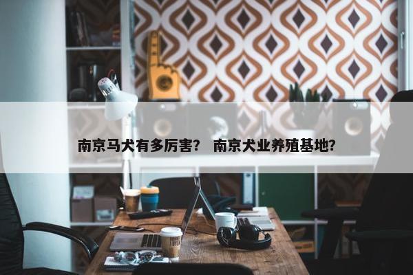 南京马犬有多厉害？ 南京犬业养殖基地？