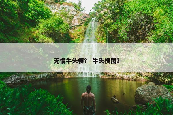 无情牛头梗？ 牛头梗图？