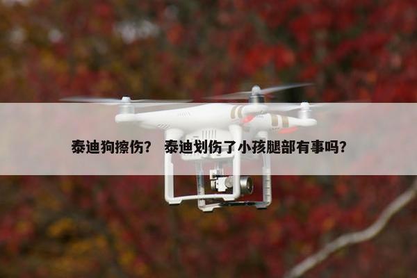 泰迪狗擦伤？ 泰迪划伤了小孩腿部有事吗？