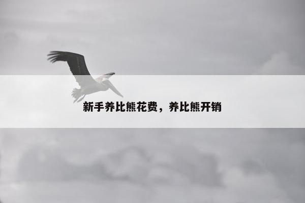 新手养比熊花费，养比熊开销