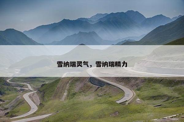 雪纳瑞灵气，雪纳瑞精力