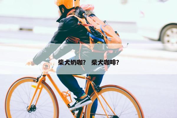 柴犬奶咖？ 柴犬咖啡？