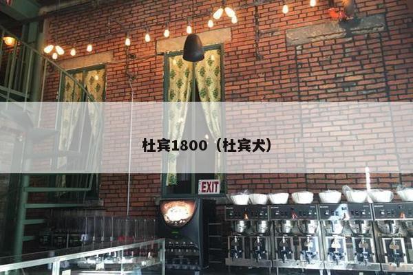 杜宾1800（杜宾犬）