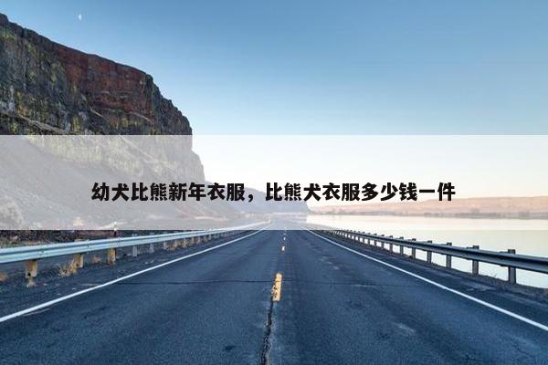 幼犬比熊新年衣服，比熊犬衣服多少钱一件