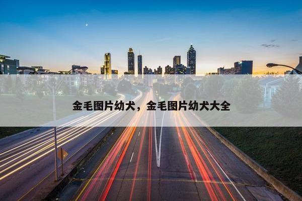 金毛图片幼犬，金毛图片幼犬大全
