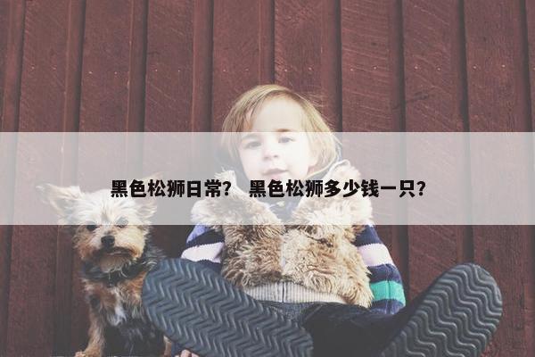 黑色松狮日常？ 黑色松狮多少钱一只？