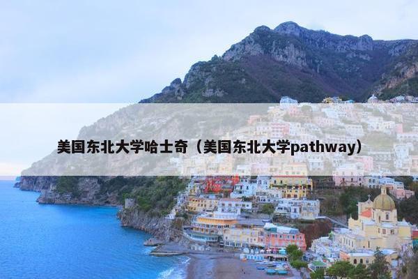 美国东北大学哈士奇（美国东北大学pathway）