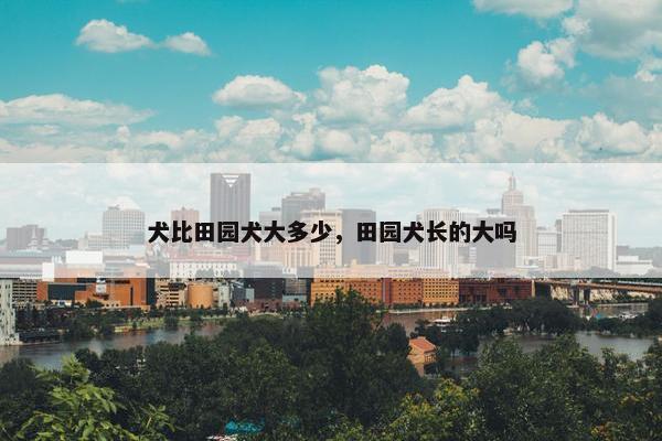 犬比田园犬大多少，田园犬长的大吗