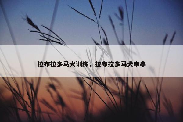 拉布拉多马犬训练，拉布拉多马犬串串