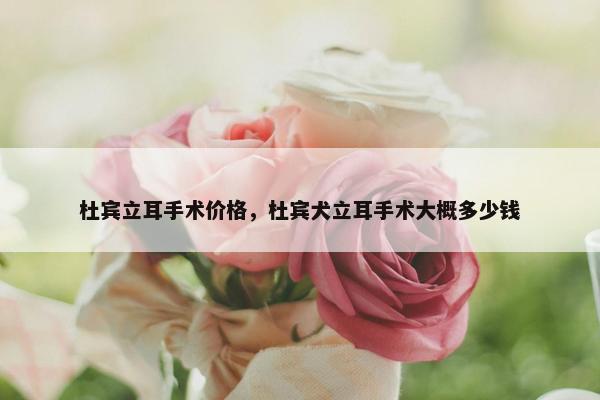 杜宾立耳手术价格，杜宾犬立耳手术大概多少钱