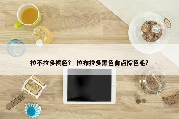 拉不拉多褐色？ 拉布拉多黑色有点棕色毛？