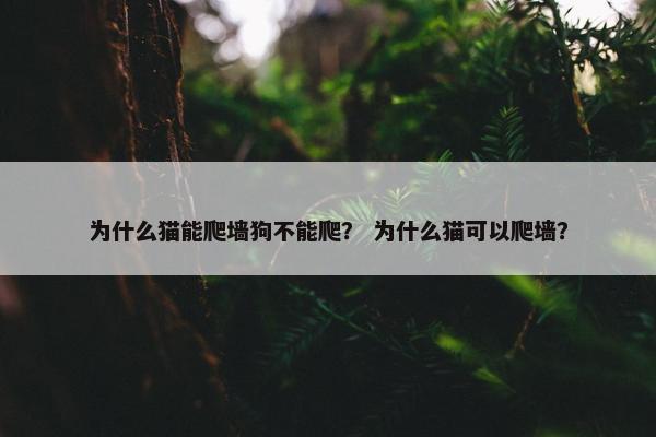 为什么猫能爬墙狗不能爬？ 为什么猫可以爬墙？