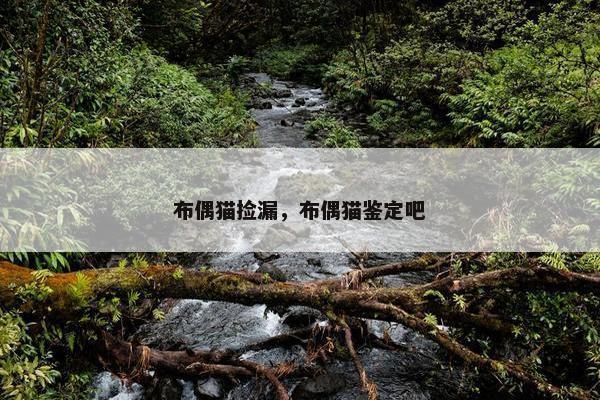 布偶猫捡漏，布偶猫鉴定吧