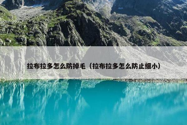 拉布拉多怎么防掉毛（拉布拉多怎么防止细小）
