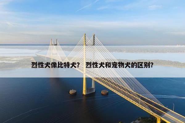 烈性犬像比特犬？ 烈性犬和宠物犬的区别？