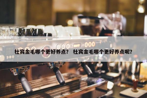 杜宾金毛哪个更好养点？ 杜宾金毛哪个更好养点呢？