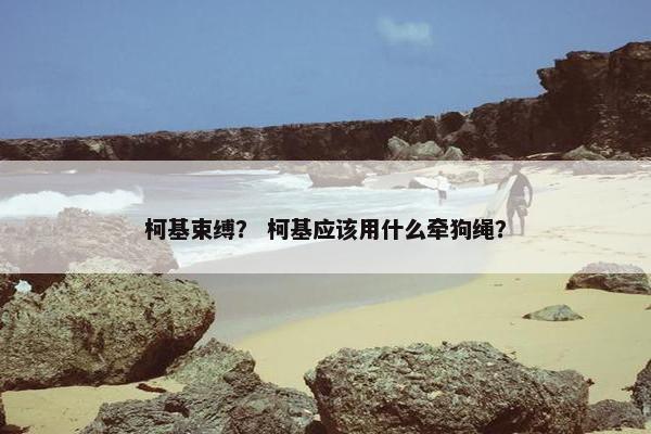 柯基束缚？ 柯基应该用什么牵狗绳？