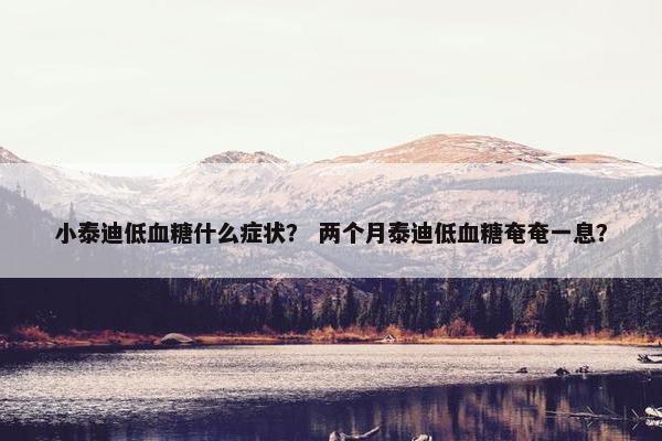 小泰迪低血糖什么症状？ 两个月泰迪低血糖奄奄一息？