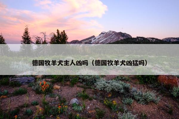 德国牧羊犬主人凶吗（德国牧羊犬凶猛吗）