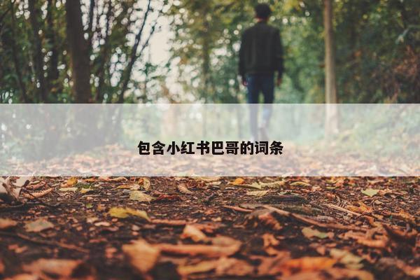 包含小红书巴哥的词条