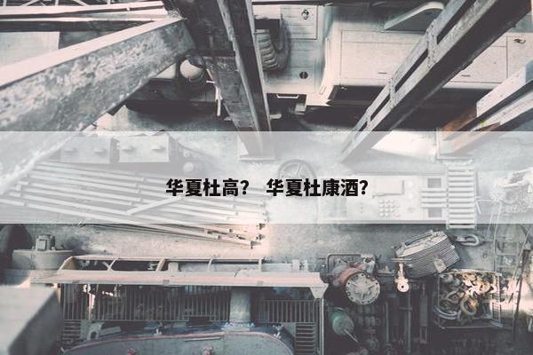 华夏杜高？ 华夏杜康酒？