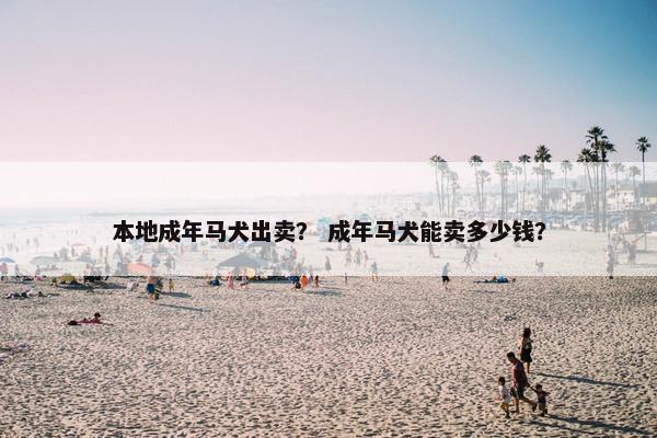 本地成年马犬出卖？ 成年马犬能卖多少钱？