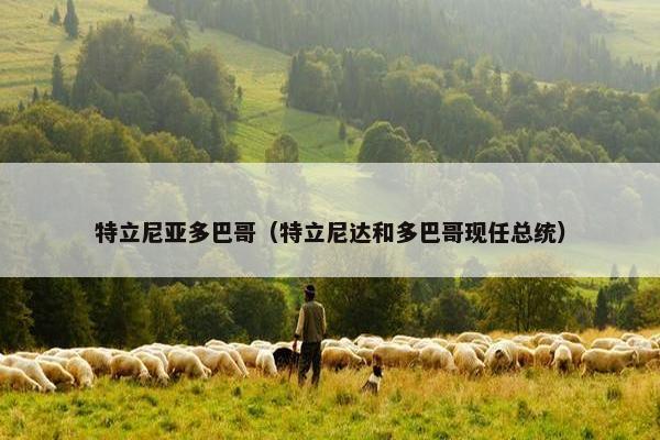 特立尼亚多巴哥（特立尼达和多巴哥现任总统）