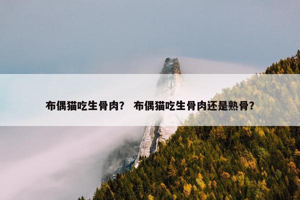 布偶猫吃生骨肉？ 布偶猫吃生骨肉还是熟骨？