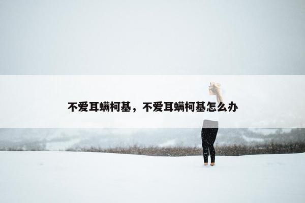 不爱耳螨柯基，不爱耳螨柯基怎么办