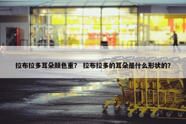 拉布拉多耳朵颜色重？ 拉布拉多的耳朵是什么形状的？
