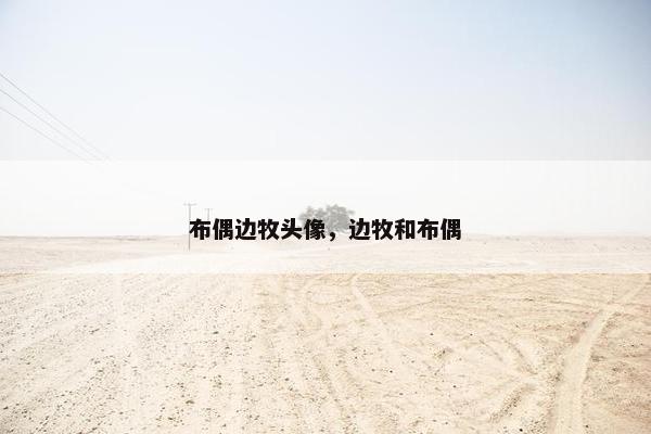布偶边牧头像，边牧和布偶