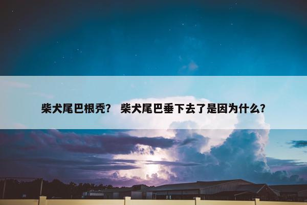 柴犬尾巴根秃？ 柴犬尾巴垂下去了是因为什么？