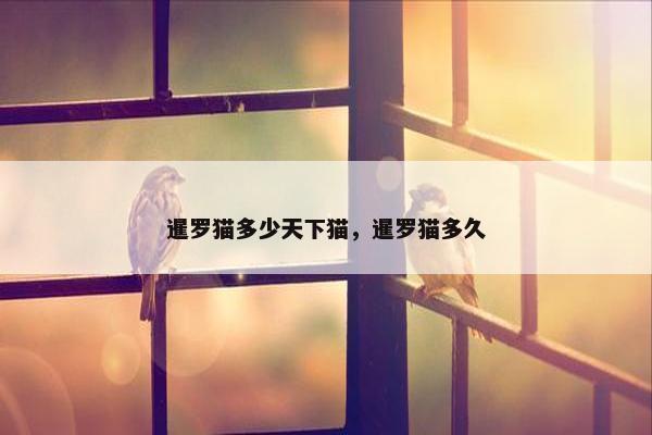 暹罗猫多少天下猫，暹罗猫多久