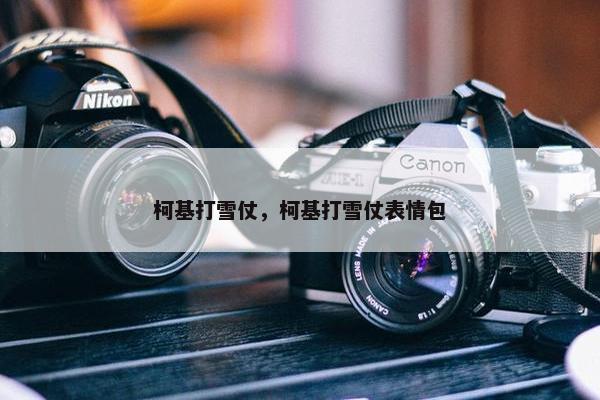 柯基打雪仗，柯基打雪仗表情包