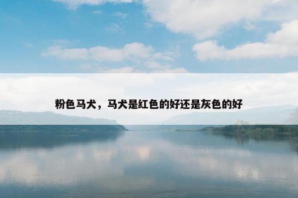 粉色马犬，马犬是红色的好还是灰色的好