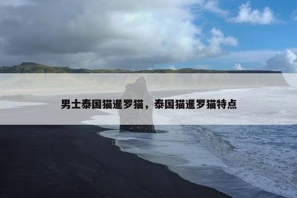 男士泰国猫暹罗猫，泰国猫暹罗猫特点