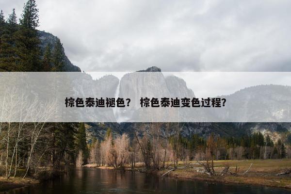 棕色泰迪褪色？ 棕色泰迪变色过程？