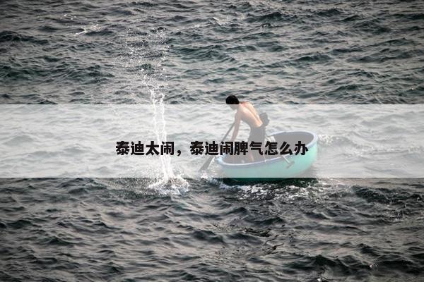 泰迪太闹，泰迪闹脾气怎么办