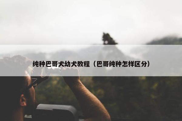 纯种巴哥犬幼犬教程（巴哥纯种怎样区分）