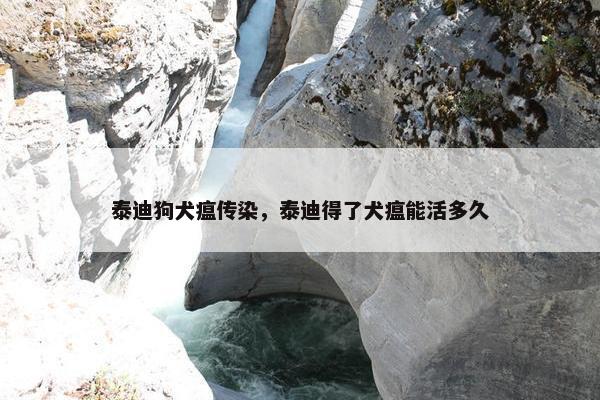 泰迪狗犬瘟传染，泰迪得了犬瘟能活多久
