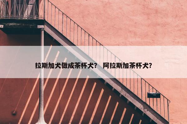 拉斯加犬做成茶杯犬？ 阿拉斯加茶杯犬？
